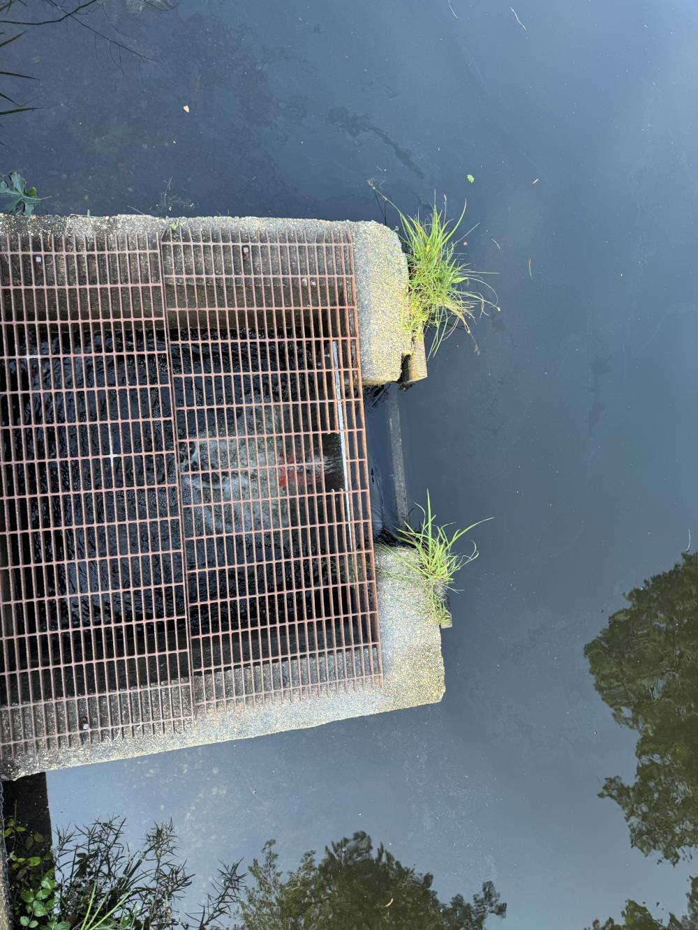 storm-drain-protection-barrier-grate